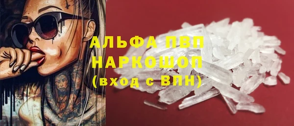 индика Аркадак