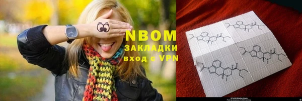 индика Аркадак