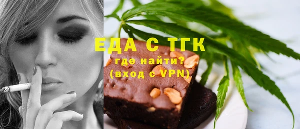 индика Аркадак