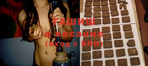 индика Аркадак