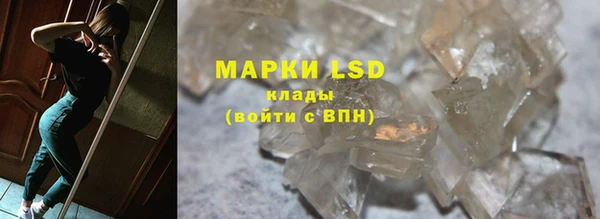 индика Аркадак