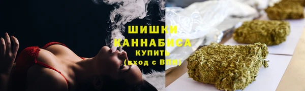 индика Аркадак