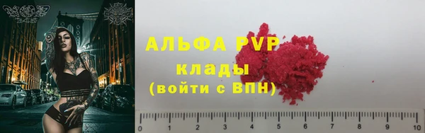 индика Аркадак