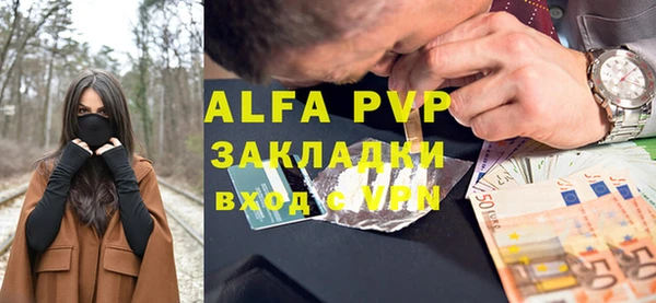 индика Аркадак