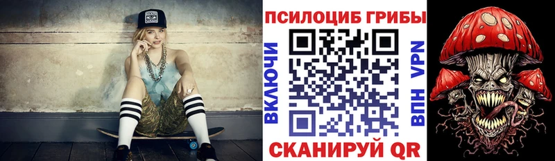 Галлюциногенные грибы Psilocybe  ссылка на мегу tor  Калязин 