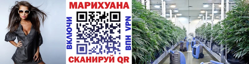где купить наркоту  Калязин  МАРИХУАНА MAZAR 
